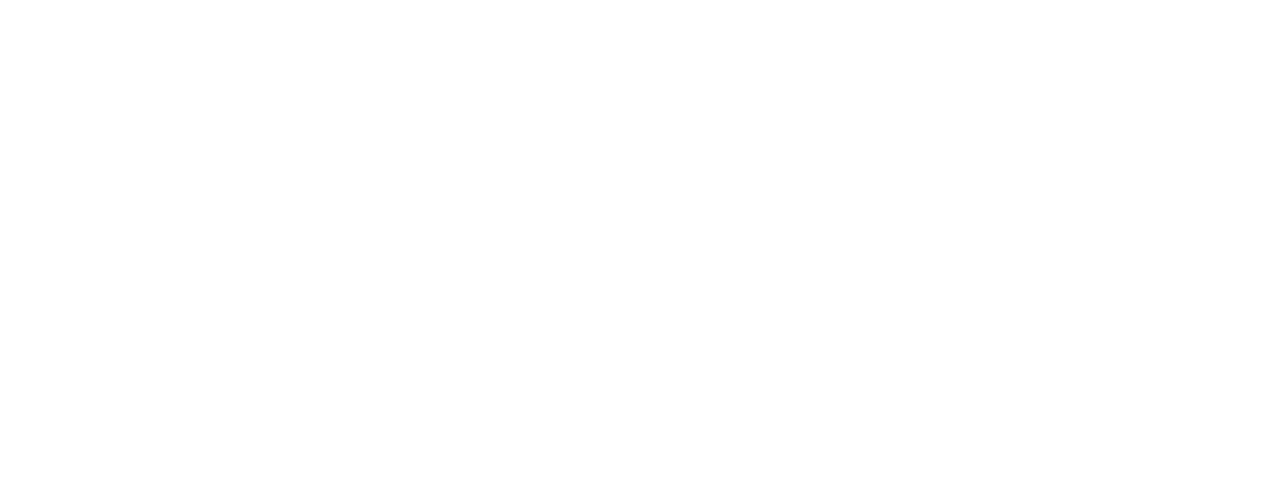 AAHANA ELECTROMATION Logo